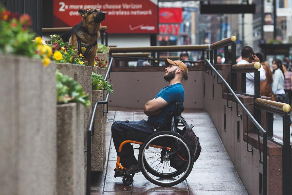 A man in a wheelchair with a pensive face looks up to his German Shepherd “Service dog”, pointing in the opposite direction on top of a ledge.